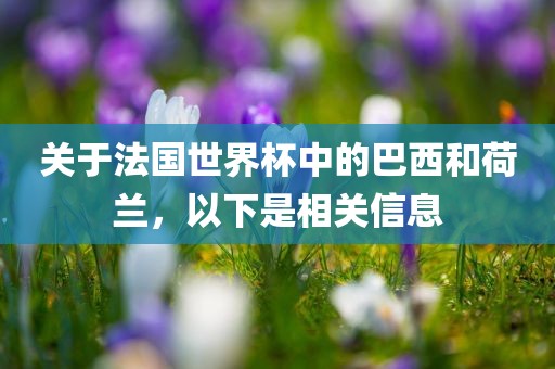 关于法国世界杯中的巴西和荷兰，以下是相关信息