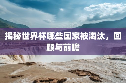 揭秘世界杯哪些国家被淘汰，回顾与前瞻