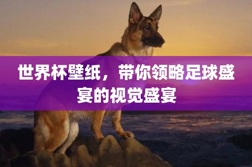 世界杯壁纸，带你领略足球盛宴的视觉盛宴金炬实业股份有限公司