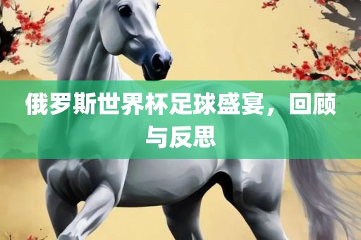 金炬实业股份有限公司俄罗斯世界杯足球盛宴，回顾与反思