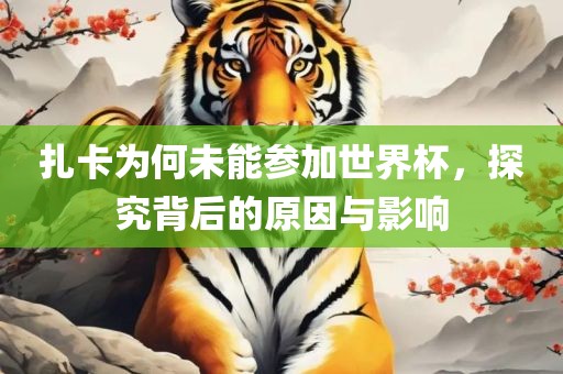 扎卡为何未能参加世界杯，探究背后的原因与影响金炬实业股份有限公司
