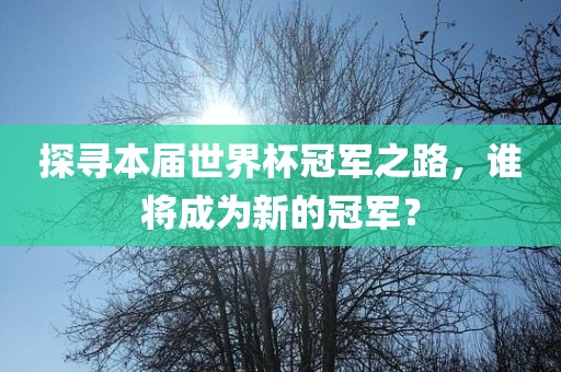 探寻本届世界杯冠军之路，谁将成为新的冠军？