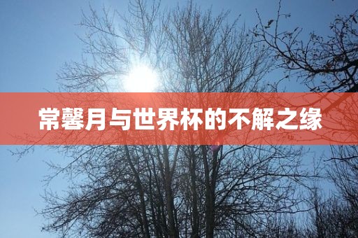 常馨月与世界杯的不解之缘金炬实业股份有限公司