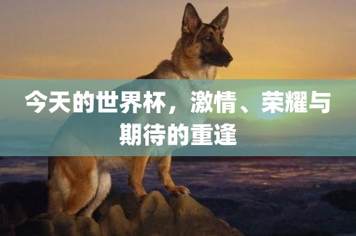 今天的世界杯，激情、荣耀金炬实业股份有限公司与期待的重逢