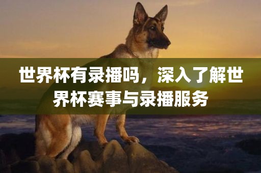 世界杯有录播吗，深入了解世界杯赛事与录播服务
