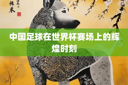 中国足球在世界杯赛场上的辉煌时刻金炬实业股份有限公司