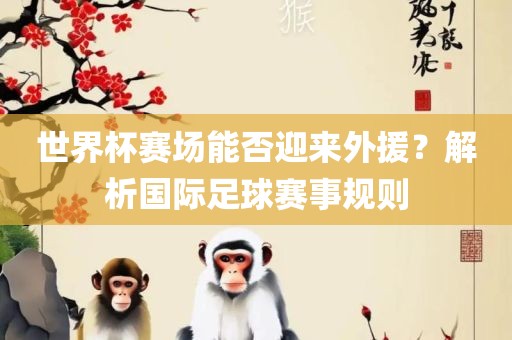 世界杯赛场能否迎来外援？解析国际足球赛事规则金炬实业股份有限公司