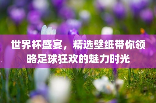 世界杯盛宴，精选壁纸带你领略足球狂欢的魅力时光