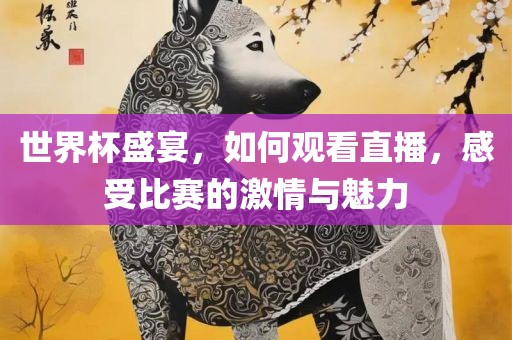 世界杯盛宴，如何观看直播，感受比赛的激情与魅力