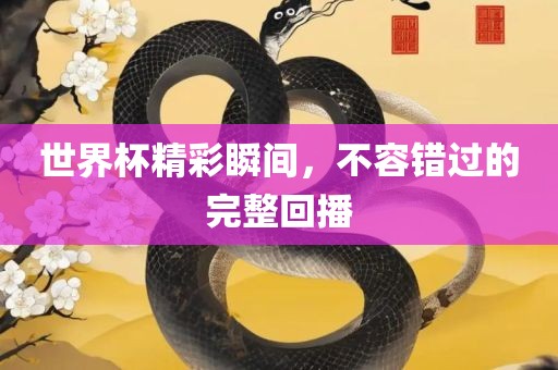 世界杯精彩瞬间，不容错过的完整回播金炬实业股份有限公司