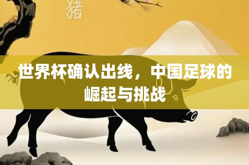 世界杯确认出线，中国足球的崛起与挑战