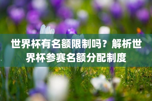 世界杯有名额限制吗？解析世界杯参赛名额分配制度金炬实业股份有限公司