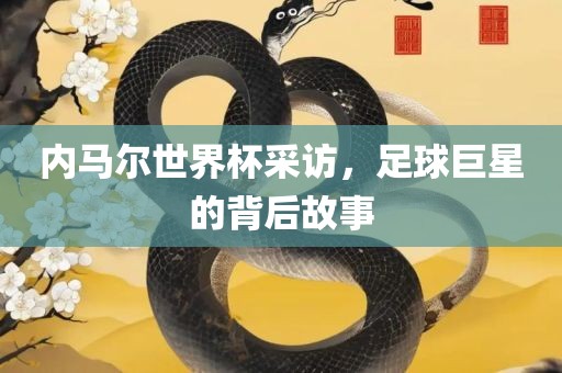 内马尔金炬实业股份有限公司世界杯采访，足球巨星的背后故事