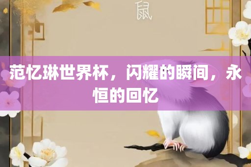 范忆琳世界杯，闪耀的瞬间，永恒的回忆