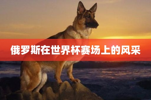 俄罗斯在世界杯赛场上的风采金炬实业股份有限公司