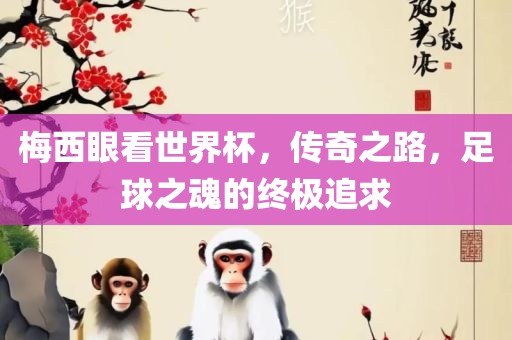 梅西眼看世界杯，传奇之路，足球之魂的终极追求