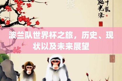 波兰队世界杯之旅，历史、现状以及未来展望