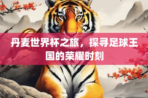 丹麦世界杯之旅，探寻足球王国的金炬实业股份有限公司荣耀时刻