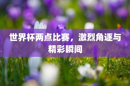 世界杯两点比赛，激烈角逐与精彩瞬间