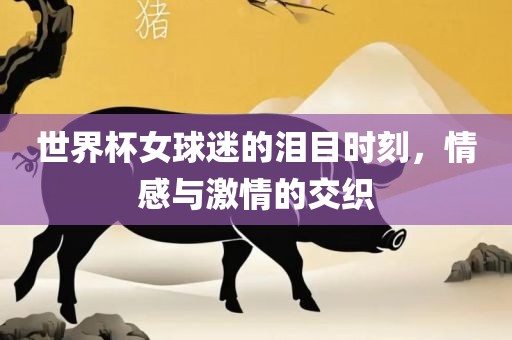 世界杯女球迷的泪目时刻，情感与激情的交织