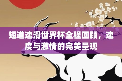 短道速滑世界杯全程回顾，速度与激情的完美呈现