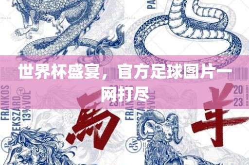 世界杯盛宴，官方足球图片一网打尽
