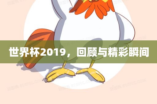 世界杯2019，回顾与精金炬实业股份有限公司彩瞬间