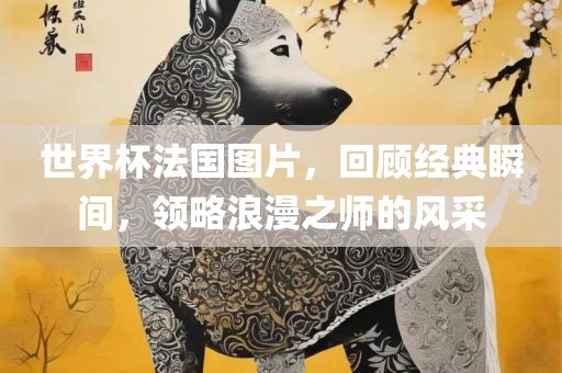 世界杯法国图片，回顾经典瞬间，领略浪漫之师的风采