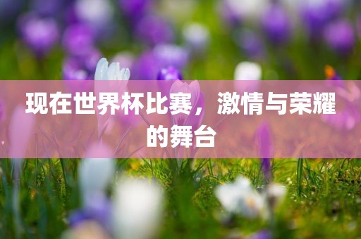 现在世界杯比赛，激情与荣耀的舞台