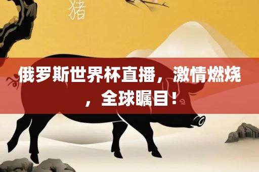 俄罗斯世界杯直播，激情燃烧，全球瞩目！