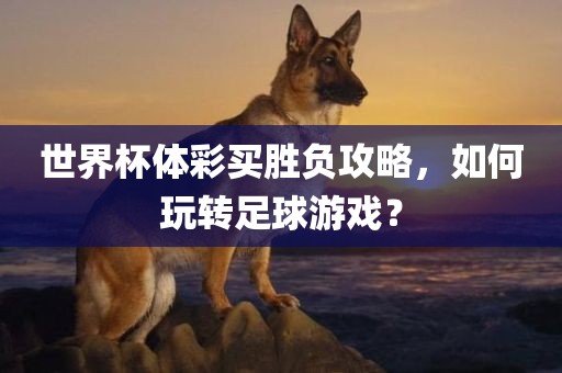 世界杯体彩买胜负攻略，如何玩转足球游戏？