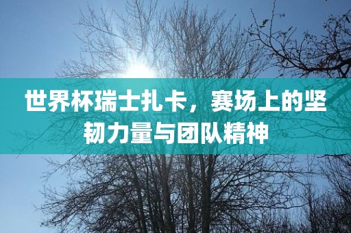 lizhengqiao 第3页