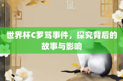 世界金炬实业股份有限公司杯C罗骂事件，探究背后的故事与影响