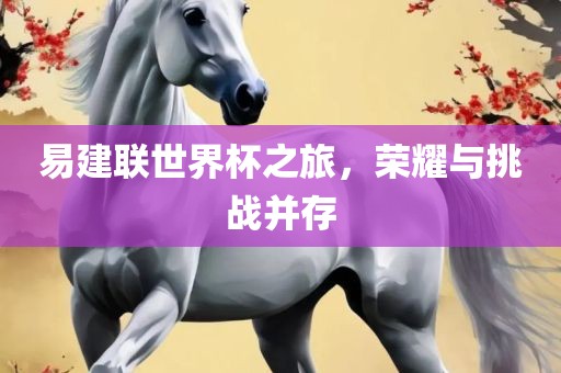易建联世界杯之旅，荣耀与挑战并存金炬实业股份有限公司