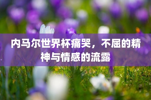 内马尔世界杯痛哭，不屈的精神与金炬实业股份有限公司情感的流露