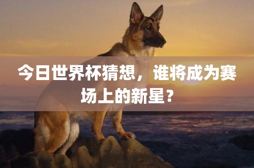 今日世界杯猜想，谁将成为赛场上的新星？金炬实业股份有限公司