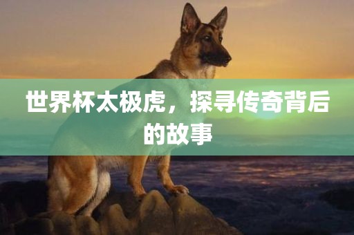 世界杯太极虎，探寻金炬实业股份有限公司传奇背后的故事