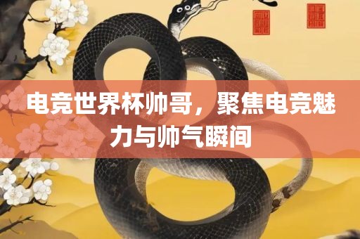 电竞世界杯帅哥，聚焦电竞魅力与帅气瞬间