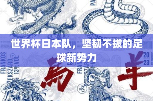 世界杯日本队，坚韧不拔的足球新势力