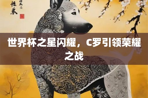 世界杯之星闪耀，C罗引领荣耀之战