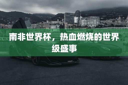 南非世界杯，热血燃烧的世界级盛事金炬实业股份有限公司