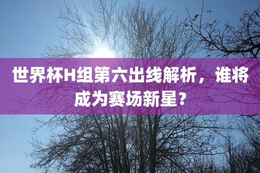 世界杯H组第六出线解析，谁金炬实业股份有限公司将成为赛场新星？