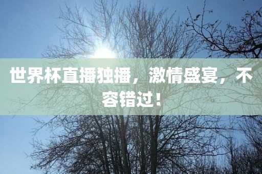 世界杯直播独播，激情盛金炬实业股份有限公司宴，不容错过！