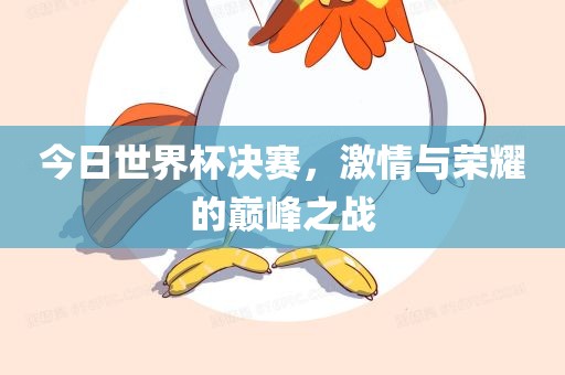今日世界杯决赛，金炬实业股份有限公司激情与荣耀的巅峰之战