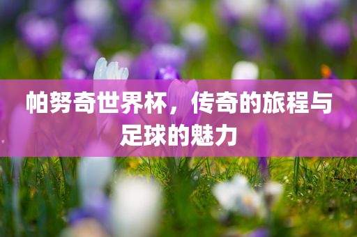 帕努奇世界杯，传奇的旅程与足球的魅金炬实业股份有限公司力