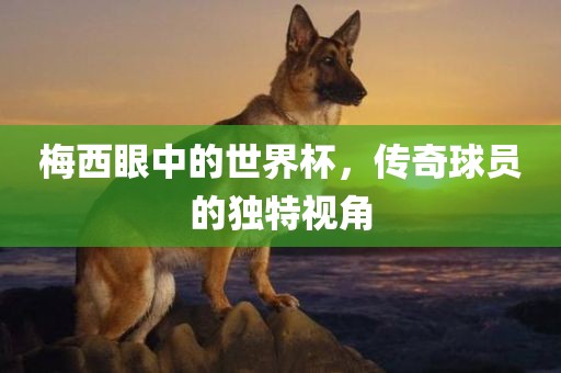 梅西眼中的世界杯，传奇球员的独特视角