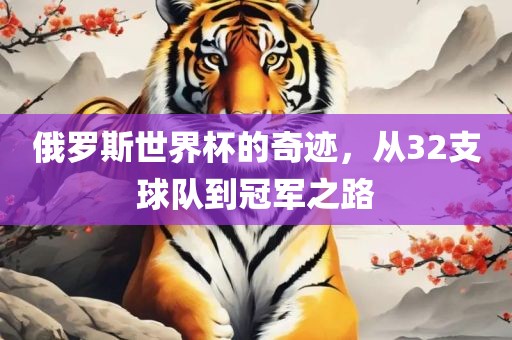 俄罗斯世界杯的奇迹，从32支球队到冠军之路