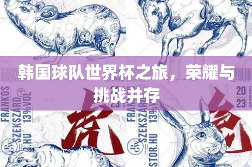 韩国球队世界杯之旅，荣耀与挑战并存