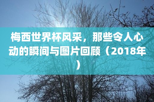 梅西世界杯风采，那些令人心动的瞬间与图片回顾（2018年）金炬实业股份有限公司