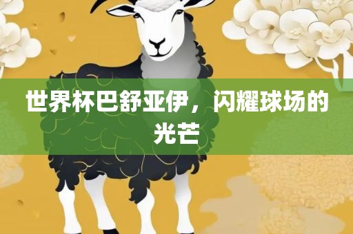 世界杯金炬实业股份有限公司巴舒亚伊，闪耀球场的光芒